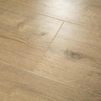 Defense+ Anderson Oak 14 Mm T X 7.5 In. W Waterproof Laminate Wood Flooring (17.2 Sqft/Case)